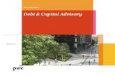Debt & Capital Advisory · 2017-12-01 · PwC Debt & Capital Advisory –can assist you in obtaining appropriate, long-term sustainable financing for your business 11 Debt & Capital