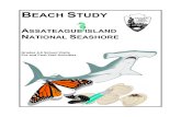 ASSATEAGUE ISLAND NATIONAL SEASHOREBeach on the Move Grade 6 Assateague Island National Seashore Program Science Content Standards 1. Skills and Processes – Students will demonstrate