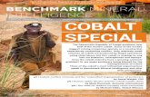 CRITICAL MINERALS & METALS DISRUPTIVE TECHNOLOGY …s1.q4cdn.com/.../articles/...2016-Cobalt-Feature.pdf · 46 “this is what we die for”: human rights abuses in the democratic