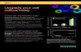 Flyer: Upgrade your cell culture todayassets.thermofisher.com/TFS-Assets/BID/Flyers/... · A B Detach cells with TrypLE Express Cell detachment that is gentle on cell surface proteins
