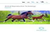 Animal Reproduction Technology Equine - Minitube · Animal Reproduction Technology Equine. We need detailed knowledge of reproductive physiology in order to ensure that you are successful