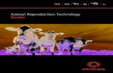 Animal Reproduction Technology Bovine - Minitube€¦ · Animal Reproduction Technology Bovine. We need detailed knowledge of reproductive physiology in order to ensure that you are