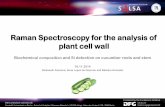 Raman Spectroscopy for the analysis of plant cell wall · 2014-11-28 · remote analysis • Raman spectra can be collected from a very small volume (< 1 µm in diameter) • Inorganic