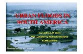 URBAN FLOODS IN SOUTH AMERICA...Curitiba 2,349 12,3 28,2 Belém 1,629 -8,1 157,9 Urban development and floods Most of causes of floods are related to the expansion on urban development: