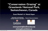 “Conservation Grazing” at Grasslands National Park ......Saskatchewan on daily nesting success of Sprague's pipits Estimate LCL UCL P Sprague's pipit nesting success Nest litter