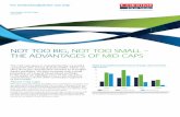 NOT TOO BIG, NOT TOO SMALL – THE …...THE ADVANTAGES OF MID CAPS 2 Australian Small Caps uly 201 Mid cap stocks generally trade on a higher price to earnings ratio to the broader