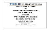 OPERATION MAINTENANCE MANUAL FOR THREE PHASE INDUCTION …M_manual_5000_larger.pdf · 2019-10-03 · THREE PHASE INDUCTION MOTORS TECO-Westinghouse Motor Company 5100 North IH-35