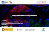 Disruptores Metabólicos y Obesidad - SEEDO · 2018-11-15 · Disruptores Metabólicos y Obesidad. Recent “epidemics” of chronic diseases like diabetes and obesity are due to