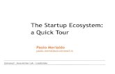 The Startup Ecosystem: a Quick Toursebd2015.dia.uniroma3.it/pdf/merialdo.pdf · The Startup Ecosystem: a Quick Tour Paolo Merialdo paolo.merialdo@uniroma3.it Uniroma3 – InnovAction