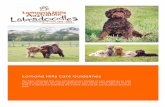 Lomond Hills Care Guidelines - Lomond Hills Labradoodles · vaccine at 9 weeks, a second vaccine 4 weeks later, and active immunity does not start until 3 weeks after the second vaccine