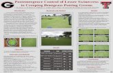 Postemergence Control of Lesser Swinecress in Creeping ... · turfgrass environments (G. Henry, personal communication). Infestations of Lesser swinecress have increased in west TX
