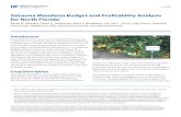 Satsuma Mandarin Budget and Profitability Analysis for ...€¦ · Satsuma Mandarin Budget and Profitability Analysis for North Florida 2 groves in south and central Florida. HLB