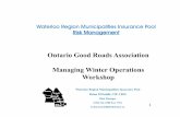 Waterloo Region Municipalities Insurance Pool Risk Management · 2019-11-01 · Waterloo Region Municipalities Insurance Pool ... (iv) that, having regard to the nature of the injury,