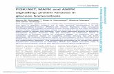PI3K/AKT, MAPK and AMPK signalling: protein kinases in ......and type 2 diabetes mellitus are in high demand. Deregulation of the phosphoinositide-3-kinase (PI3K)/v-akt murine thymoma