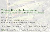 Taking Back the Landscape - Marco Island, Florida · 2019-02-13 · Native Florida Plants by Haehle & Brookwell Native Plant Landscaping by Huegel Florida’s Best Native Landscape