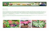 Here is the 56th issue of our weekly gardening newsletter for … · 2014-07-01 · means any plants recommended for a xeriscape (low-water) garden must be in a raised, or extremely