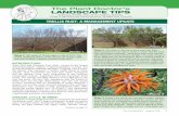 The Plant Doctor’s tree trell… · Trellis Rust, but through observations over the last couple of years combined with our knowledge of similar diseases, I believe I can provide