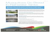 Mosquitoes Do Breed In Rainwater Tanks · 2016-02-02 · 7 Orchard Avenue Armadale Western Australia 6112 Locked Bag 2 Armadale Western Australia 6992 T: (08) 9394 5000 F: (08) 4