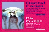 Dental Caries The Disease and its Clinical Management Edited by …€¦ · Dental Caries The Disease and its Clinical Management Edited by Ole Fejerskov and Edwina Kidd Second Edition