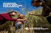 WORKING TOGETHER FOR A BETTER TOMORROW · sustainability through a lens of basic ecology and evolutionary biology. The role of the Kellogg Farm in research and outreach related to