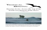 Russian Arctic: Across the Top of the World searching for ... · pond. While we stood watching some young Rough-Legged Hawks practice their soaring above the rock sided mountain in