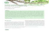 Functional specialization and phenotypic generalization in the … · Functional specialization and phenotypic generalization in the pollination system of an epiphytic cactus Cristiane