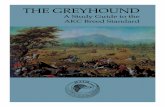 Greyhound Study Guide · STUDY GUIDE TO THE AKC GREYHOUND BREED STANDARD 3 The AKC Breed Standard for Greyhounds HEAD - Long and narrow, fairly wide between the ears, scarcely perceptible
