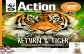 RETURN THEOF TIGER - WWF · Conservation news, including Africa’s elephants under threat RETURN OF THE TIGERHARDLY BELIEVE IT” 12 With so many threats, raising cubs is a battle