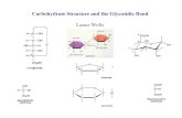 Carbohydrate Structure and the Glycosidic Bondglycobiology/011305.pdf · Carbohydrate Structure and the Glycosidic Bond Lance Wells. 8130. Glycobiology, Spring 2005—Clinical Correlation