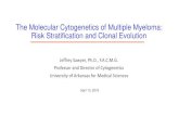 The Molecular Cytogenetics of Multiple Myeloma: Risk ...userfiles/pdfs/Molecular Cytogenetics of Multiple Myeloma.pdfThe Molecular Cytogenetics of Multiple Myeloma: Risk Stratification