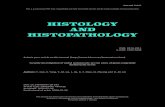 HISTOPATHOLOGY manuscript) AND (non-edited HISTOLOGY · DOI: 10.14670/HH-18-243 Article type: ORIGINAL ARTICLE Accepted: 2020-07-30 Epub ahead of print: 2020-07-30 HISTOLOGY AND HISTOPATHOLOGY