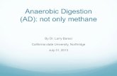 Anaerobic Digestion (AD): not only methane...2013/07/31  · Anaerobic digestion is a collection process by which microorganisms break down biodegradable material in the absence of