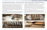 for Development Journal 94 HARVESTING HONEY FROM A LOG HIVE · friends. It is difficult to remove honey from these hives without damaging or destroying the bee colony: the bees can
