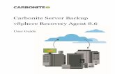 Carbonite Server Backup vSphere Recovery Agent 8 · 1 Introduction to the vSphere Recovery Agent ... 8.5 View a job’s process logs and safeset information .....46 8.6 View and export