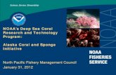 NOAA’s Deep Sea Coral Research and Technology Program: Alaska Coral and Sponge ... · 2017-07-27 · of deep-sea coral and sponge ecosystems • Exploration and Research • Conservation