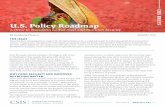 CSIS BRIEFS U.S. Policy Roadmap A Drive to Transform ... · efforts like Scaling Up Nutrition and the New Alliance for Food Security and Nutrition, why does it feel like we are being