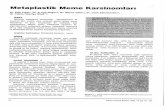 Turkish Journal of Pathology · 3. Karsinosarkomlar : insitu ve infiltratif karsinom alan- alanlan izlenir. Sarkomatöz alanlan fibrosarkomu, malign fibröz histiositomu, rabdomyosarkomu