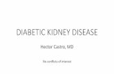 DIABETIC KIDNEY DISEASE · 2020-03-02 · •Diabetic nephropathy (DN) or diabetic kidney disease (DKD): Classic diabetic glomerulopathy versus various other forms of kidney disease