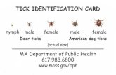 TICK IDENTIFICATION CARD nymph male female Deer ticks ...files.hria.org/files/TM3900.pdfTICK TIPS Deer tick nymphs and adults may carry germs that cause Lyme disease, babesiosis or