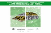 CITES Identification Guide – Turtles & Tortoises Guide d ...cites.unia.es/file.php/1/files/CAN-CITES_Turtle_Guide.pdfIII. Title: Guía de identificación de CITES – Tortugas :