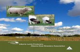Sheep and Goat Management in Alberta Nutritiondepartment/deptdocs.nsf/ba... · 2019-10-25 · Pearson's Square ... Hand Balancing a Ration.....95 Before You Begin, Analyze Your Feed
