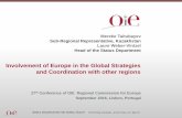Involvement of Europe in the Global Strategies and ... · Global control strategies Global strategies based on lessons learned from • FMD control success • Rinderpest eradication