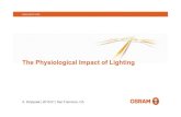 The Physiological Impact of Lighting · Field study in Ulm (Ger) to test nonvisual lighting effects in older pupils ... • Artificial sky lights and voute 8000 K FL • LED ceiling