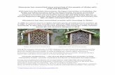 Monsanto has committed slow poisoning of the people of ... · Aquatic life only started to disappear in 2016 Solitary bee hotel June 29 2015 (full) Solitary bee hotel July 06 2016