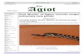 Tel: (0030) 26610 58177 Agiot · It's also unusual in that the whip snake managed to exit from the dead snake's mouth, given snakes generally swallow their prey head first. (See "Giant