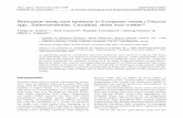 Braincase–body size relations in European newts (Triturus ... · study. Thus, from the small T. vulgaris, through medium-sized T. alpestris, to the group of large T. superspecies
