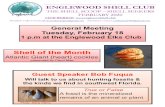 Shell of the Monthenglewoodshell.club/archives/feb_2020.pdf · Here’s What You Need: Pail or bucket, gloves, small shovel or trowel, long-handled scoop, small plastic container