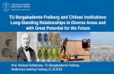 TU Bergakademie Freiberg and Chilean Institutions: Long … · 2019-12-11 · TU Bergakademie Freiberg and Chilean Institutions: Long-Standing Relationships in Diverse Areas and with