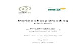 Merino Sheep Breeding - Woolwise...MERINO SHEEP BREEDING TRAINER GUIDE PAGE 5 4.3.1 Practical Exercise 2 – Selecting a stud 56 Worksheet 2 – Practical Exercise 2 59 4.3.2 Practical