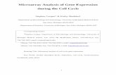 Microarray Analysis of Gene Expression during the Cell Cyclecooper/mmbr.pdf · 2003-07-02 · Microarray Analysis of Gene Expression ... synchronous growth, and analyzing the mRNA